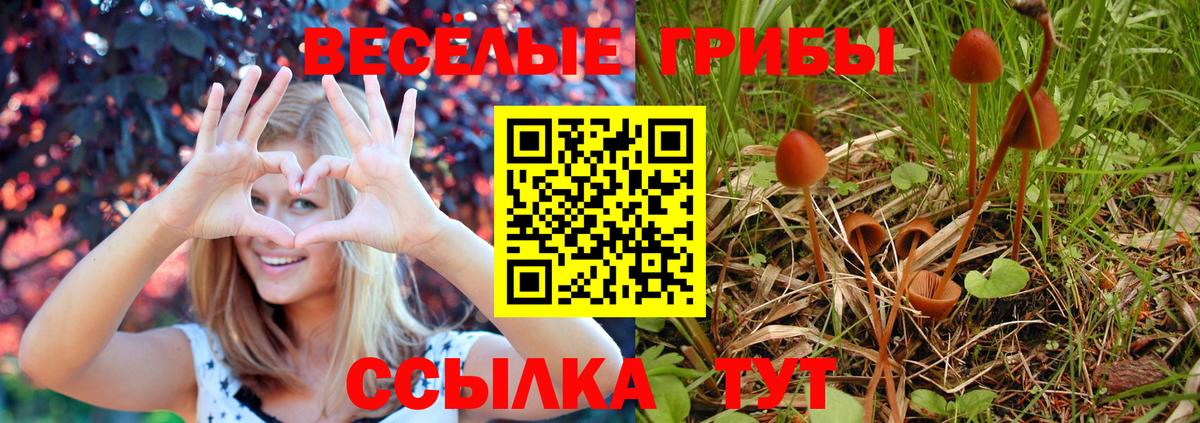 Псилоцибиновые грибы мицелий Междуреченск